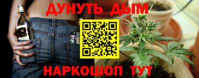 прущие крисы Ставрополь